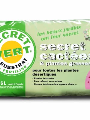 cactees pepiniere bonventre